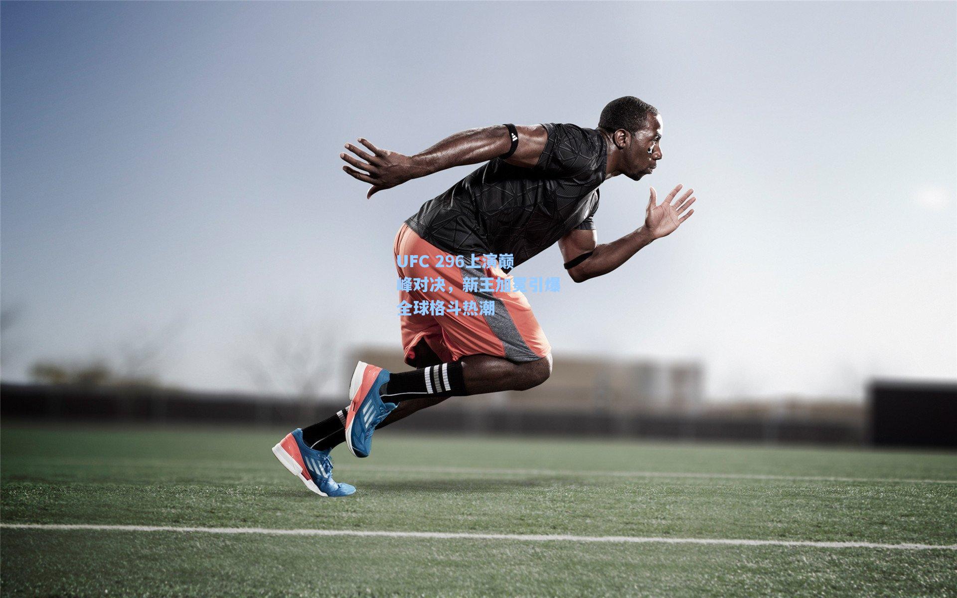 UFC 296上演巅峰对决，新王加冕引爆全球格斗热潮